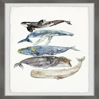 Marmont Hill kitove vrste Rachel Byler uokvirena zidna umjetnost, 16 1.5