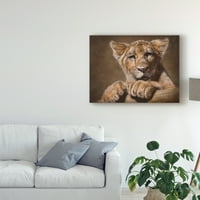 Zaštitni znak likovne umjetnosti 'Lion Cub' Canvas Art by Patrick Lamontagne
