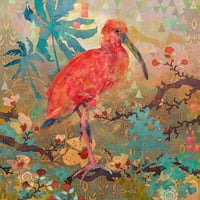 Scarlet ibis Slikački ispis na zamotanom platnu