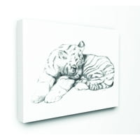 Stupell Industries Slatka tiger mačka beba životinja neutralno sivi dizajn crteža platno zidna umjetnost Daphne