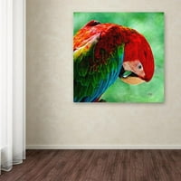 Zaštitni znak likovna umjetnost Šareni format Macaw Square Canvas Art by Lois Bryan