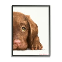 Stupell Industries Chocolate Labrador Puppy odmarao preslatki pseći portret Crni uokviren, 30, dizajn George Dyachenko